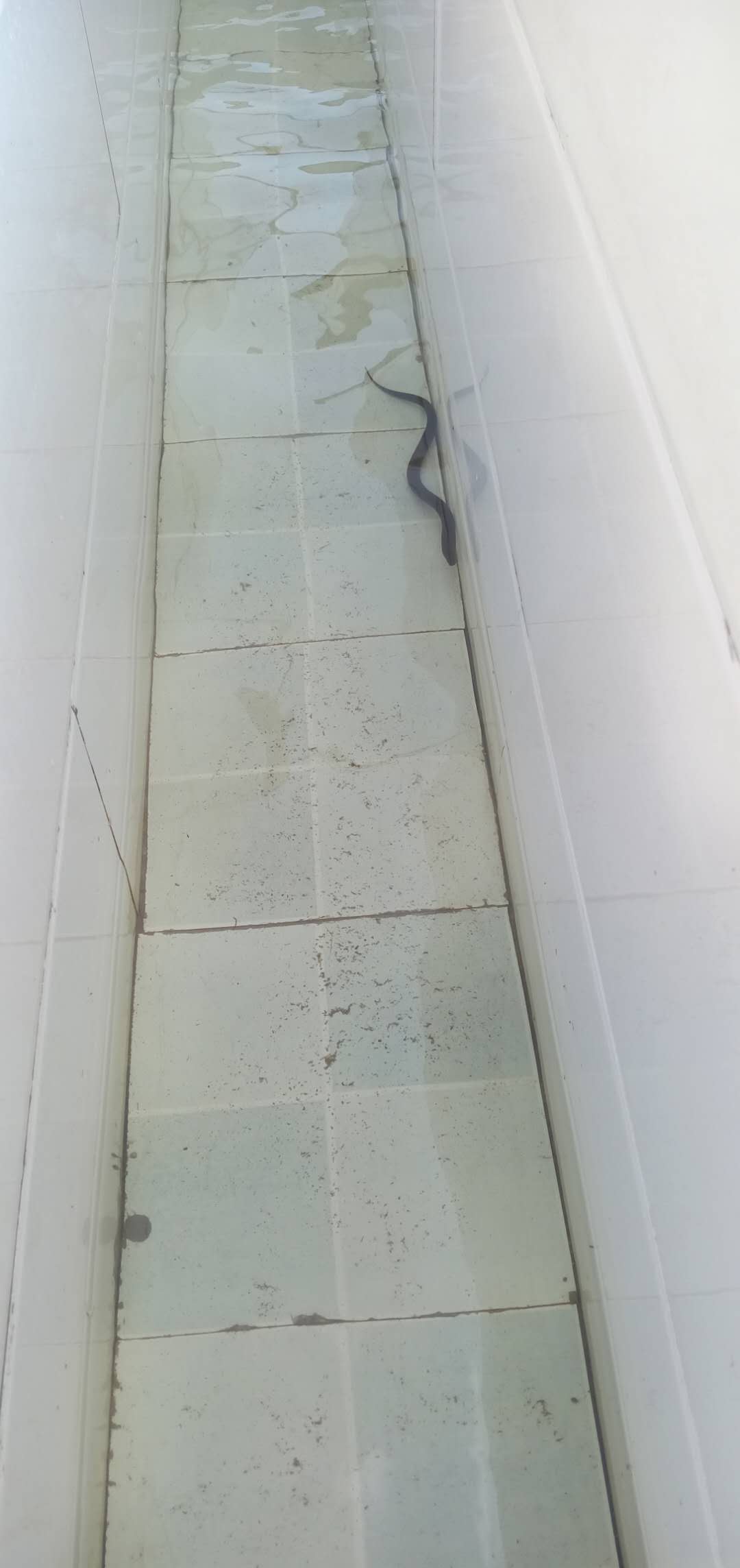΢�ňDƬ_20190616103028.jpg